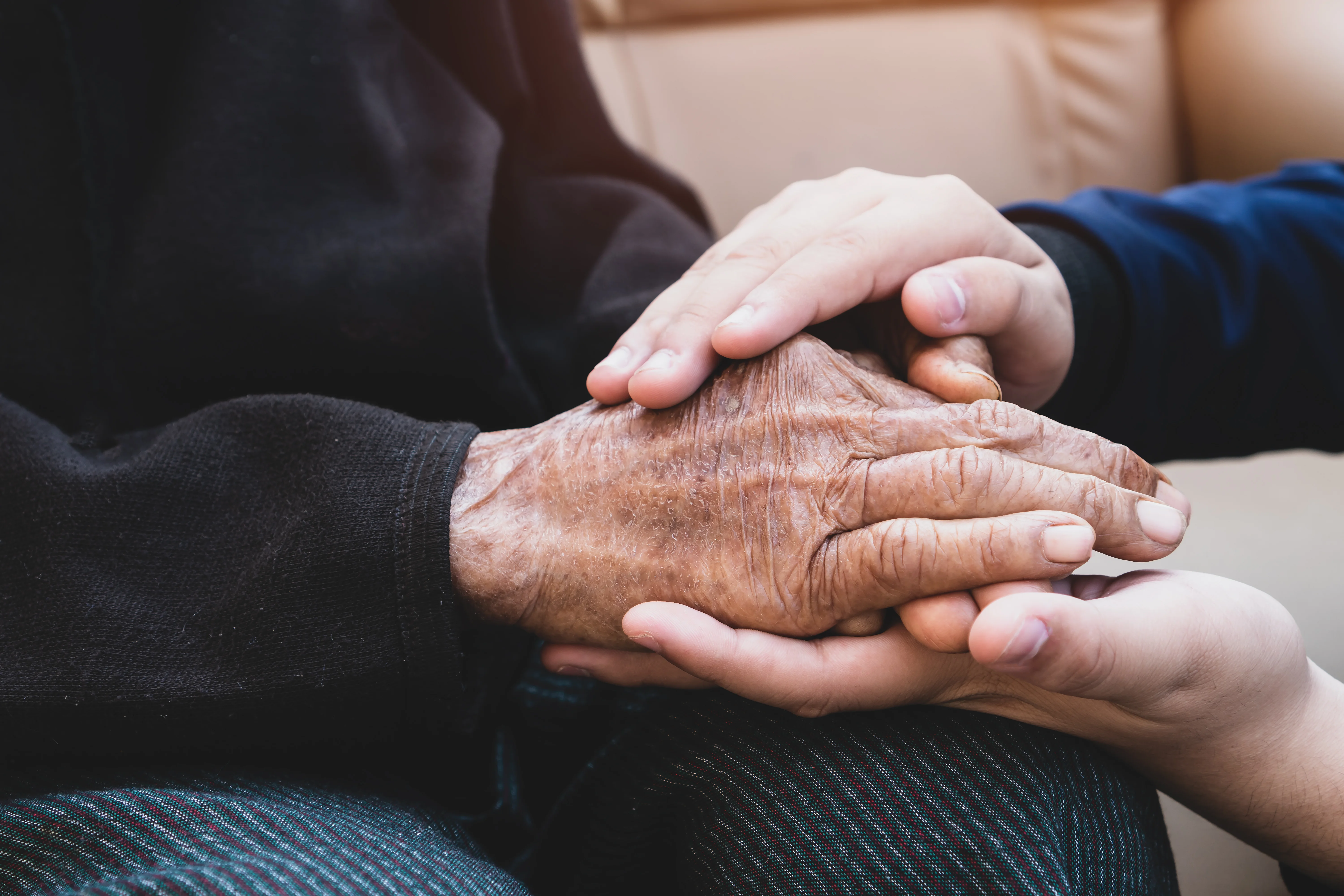a close-up of hands holding a heart