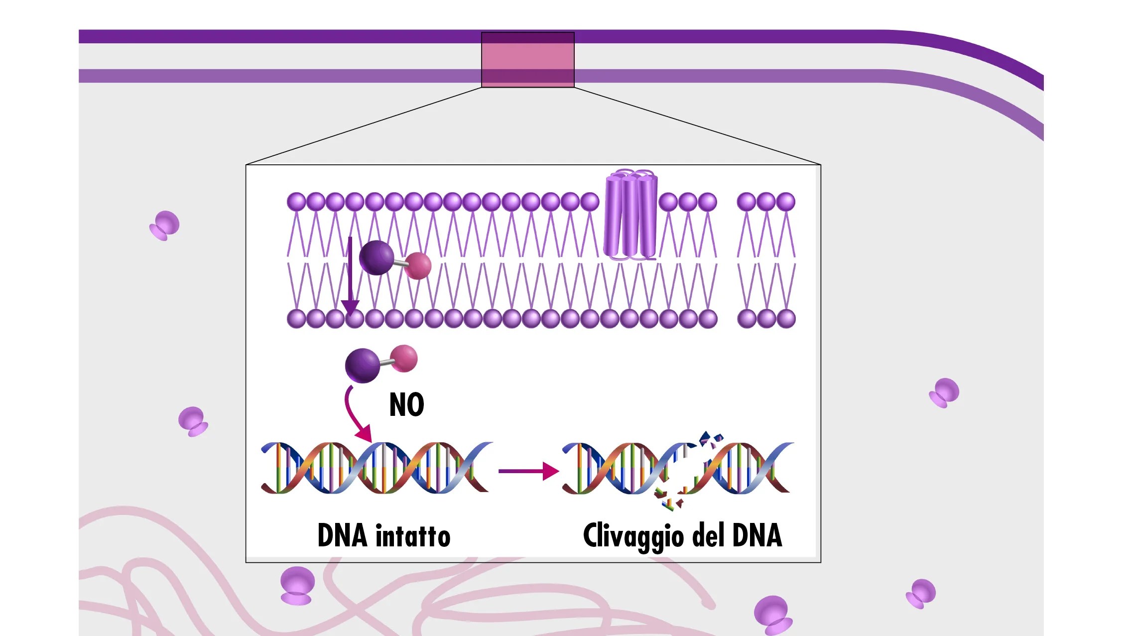 diagramma