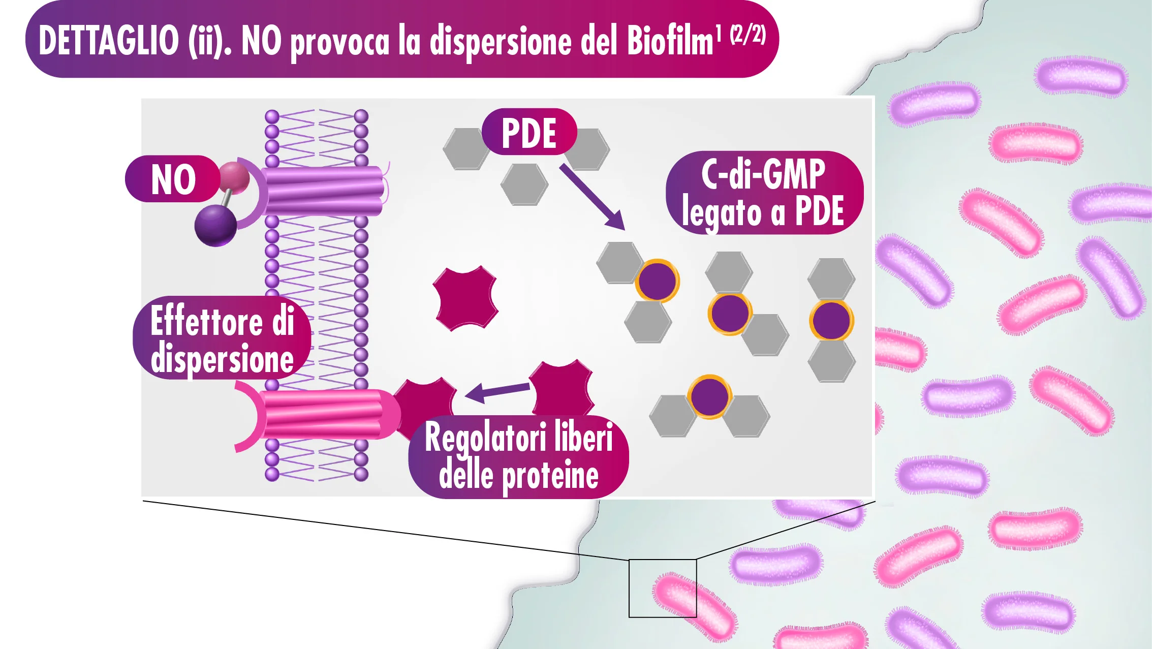 diagramma