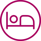 ikona