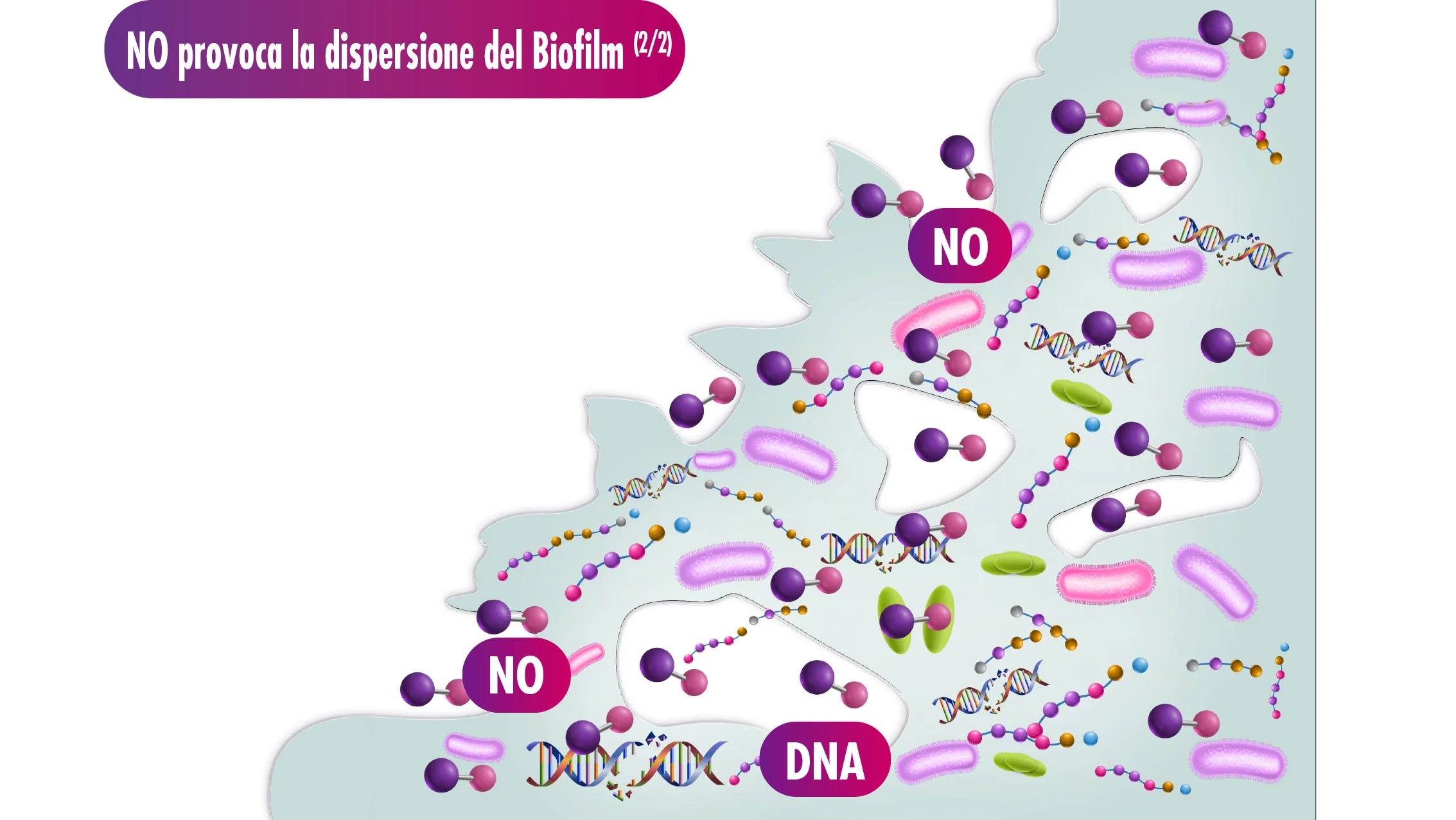 diagramma