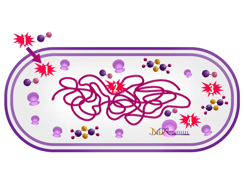 Un gioco di puzzle colorato
