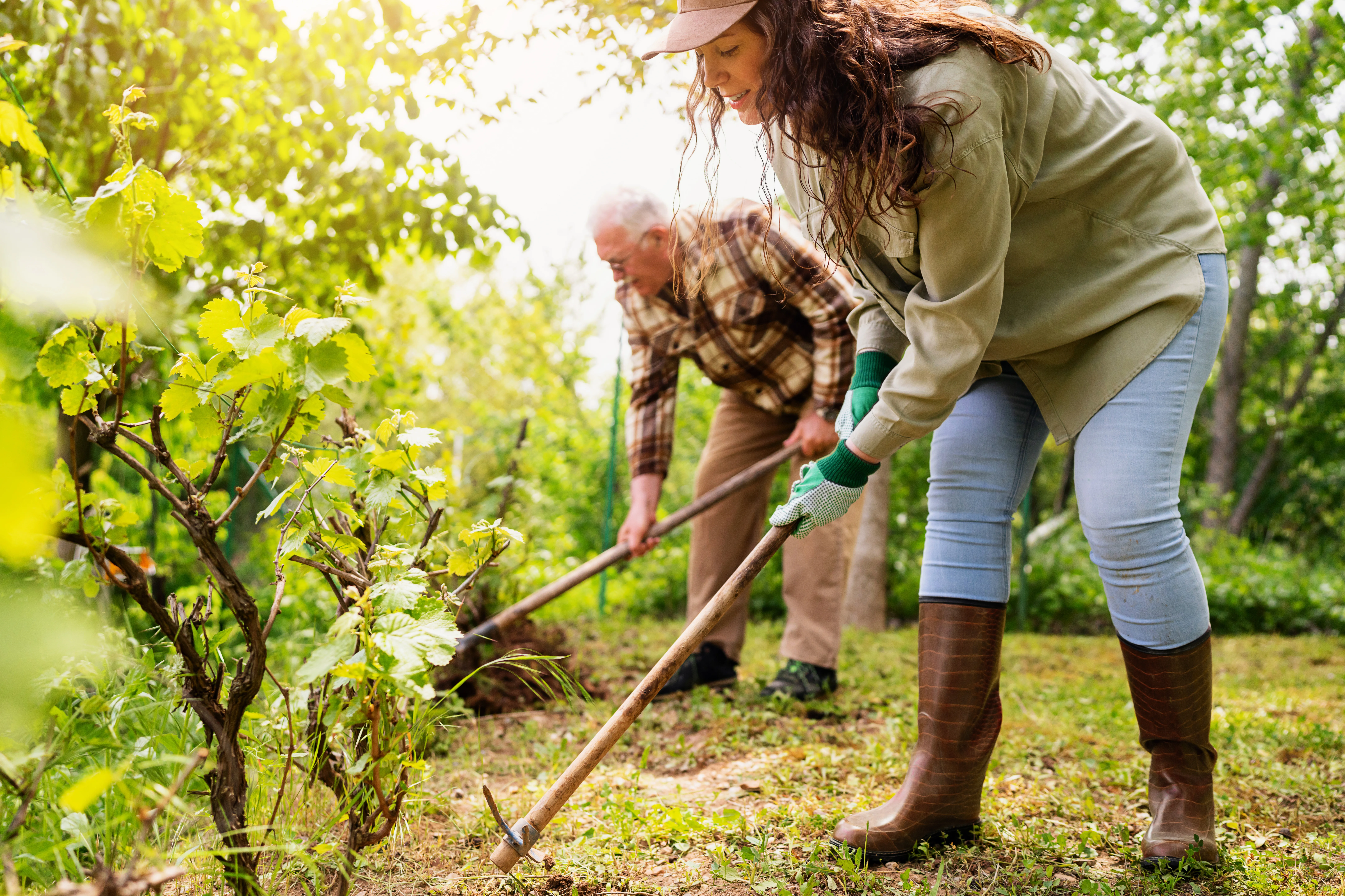 Eine Frau und ein Mann bei der Gartenarbeit